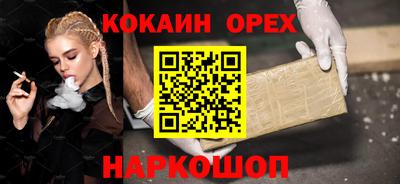 сатива Будённовск