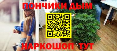 сатива Будённовск